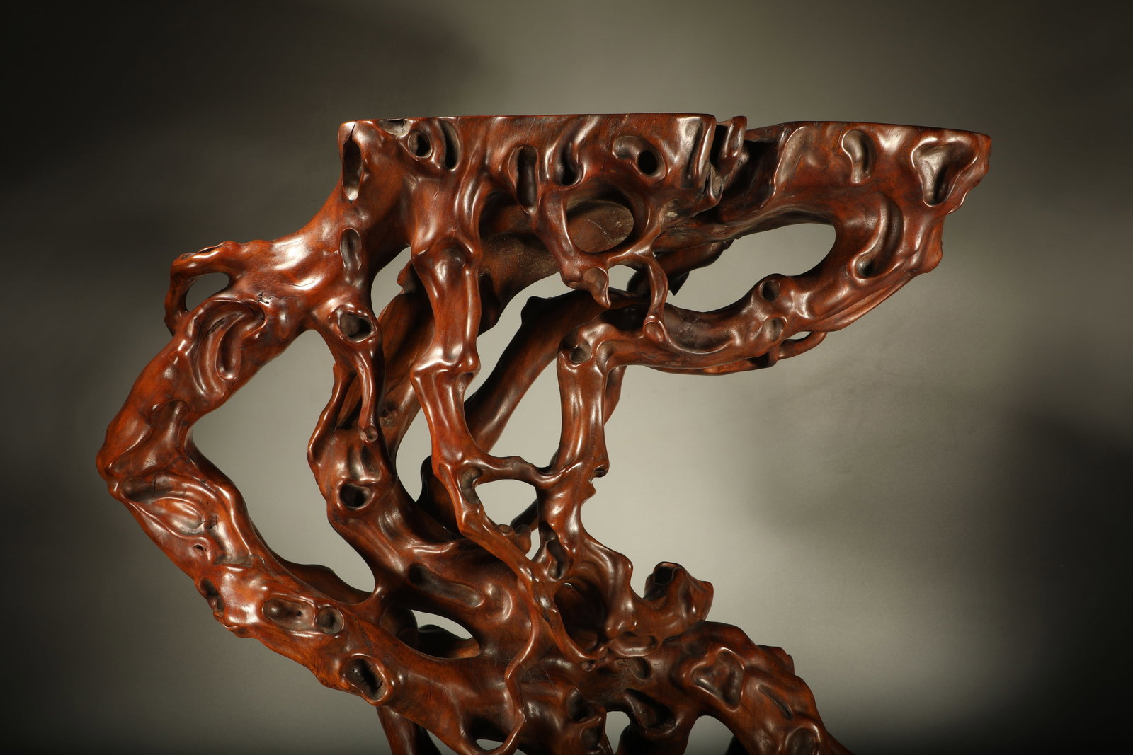 Wood Tree Burl Shape Base - 5