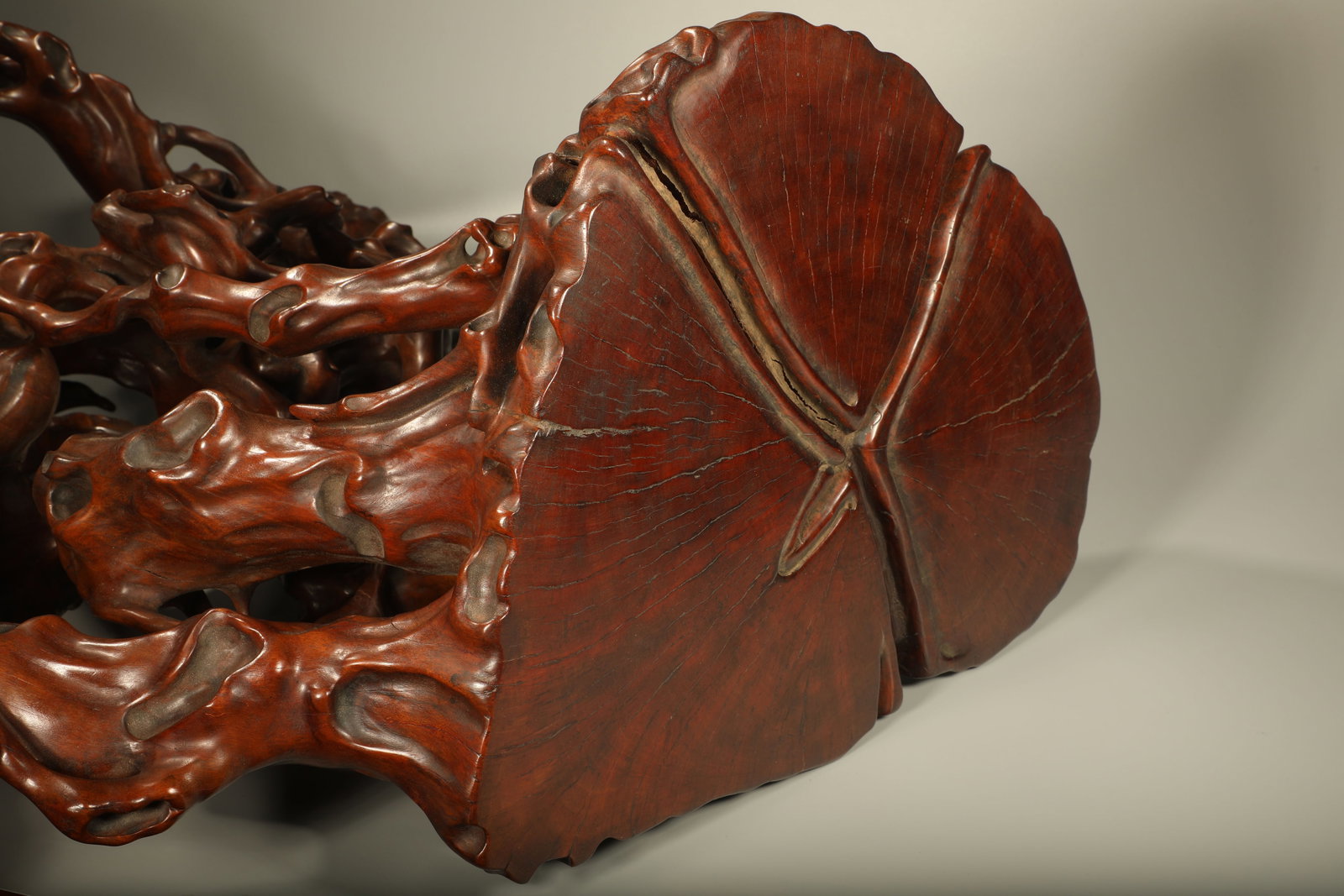 Wood Tree Burl Shape Base - 7
