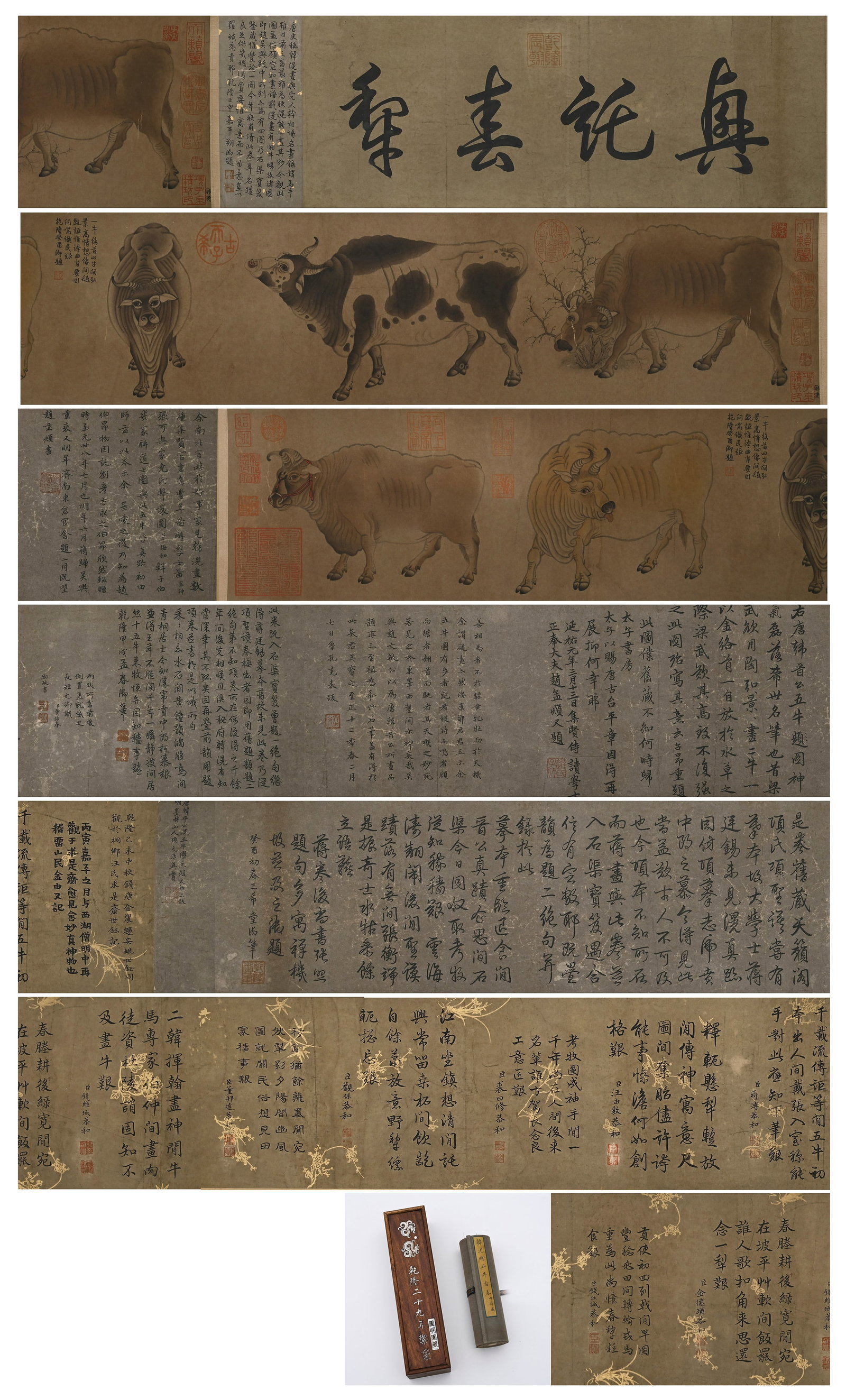 Chinese Drawing Ox Hand Scroll,Han Huang Mark: Chinese Drawing Ox Hand Scroll,Han Huang Mark (500 x 23cm)