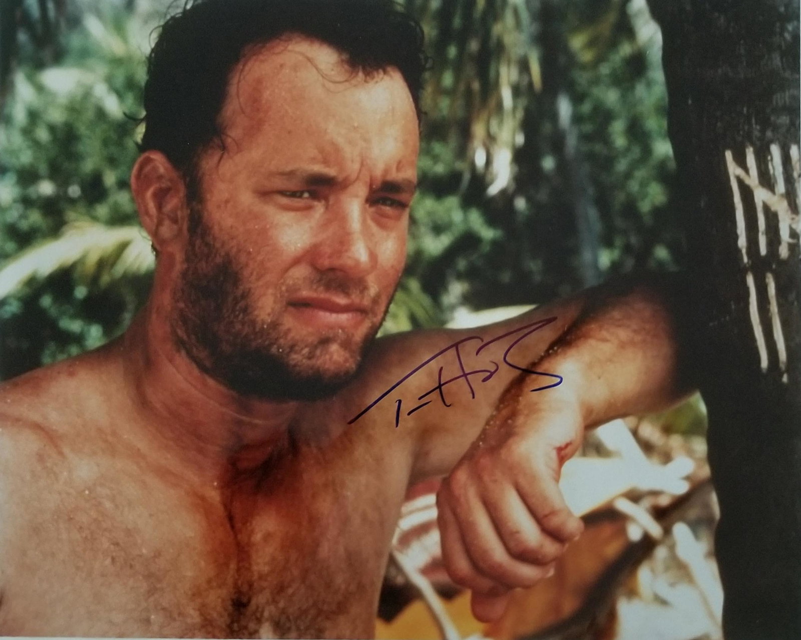 Castaway Tom Hanks signed movie photo (1 of 1)