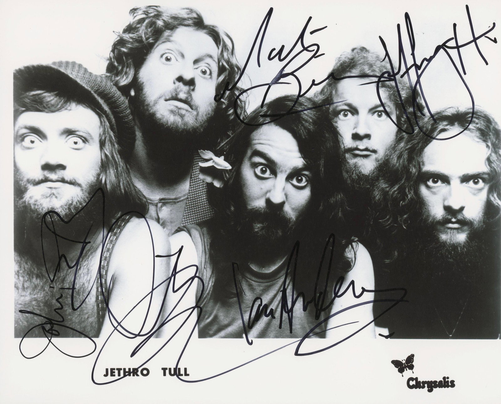 Jethro Tull signed photo (1 of 1)
