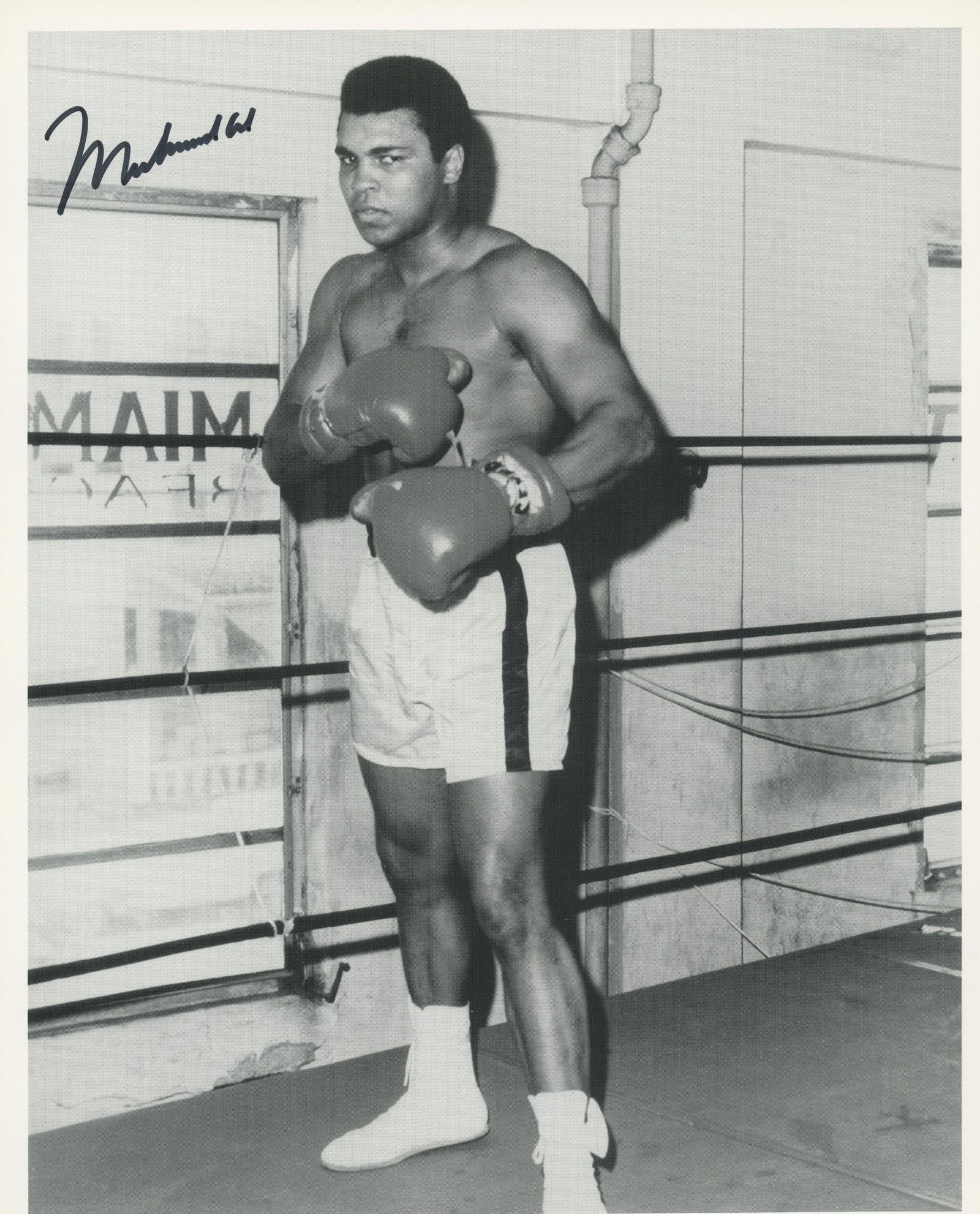 Muhammad Ali signed photo (1 of 1)