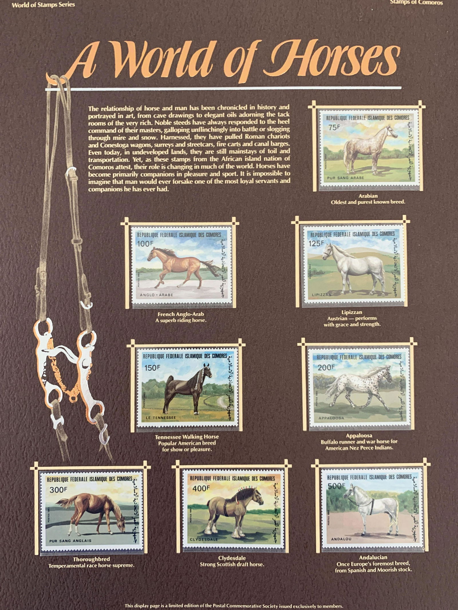 A World of Horses Stamp Set (1 of 1)