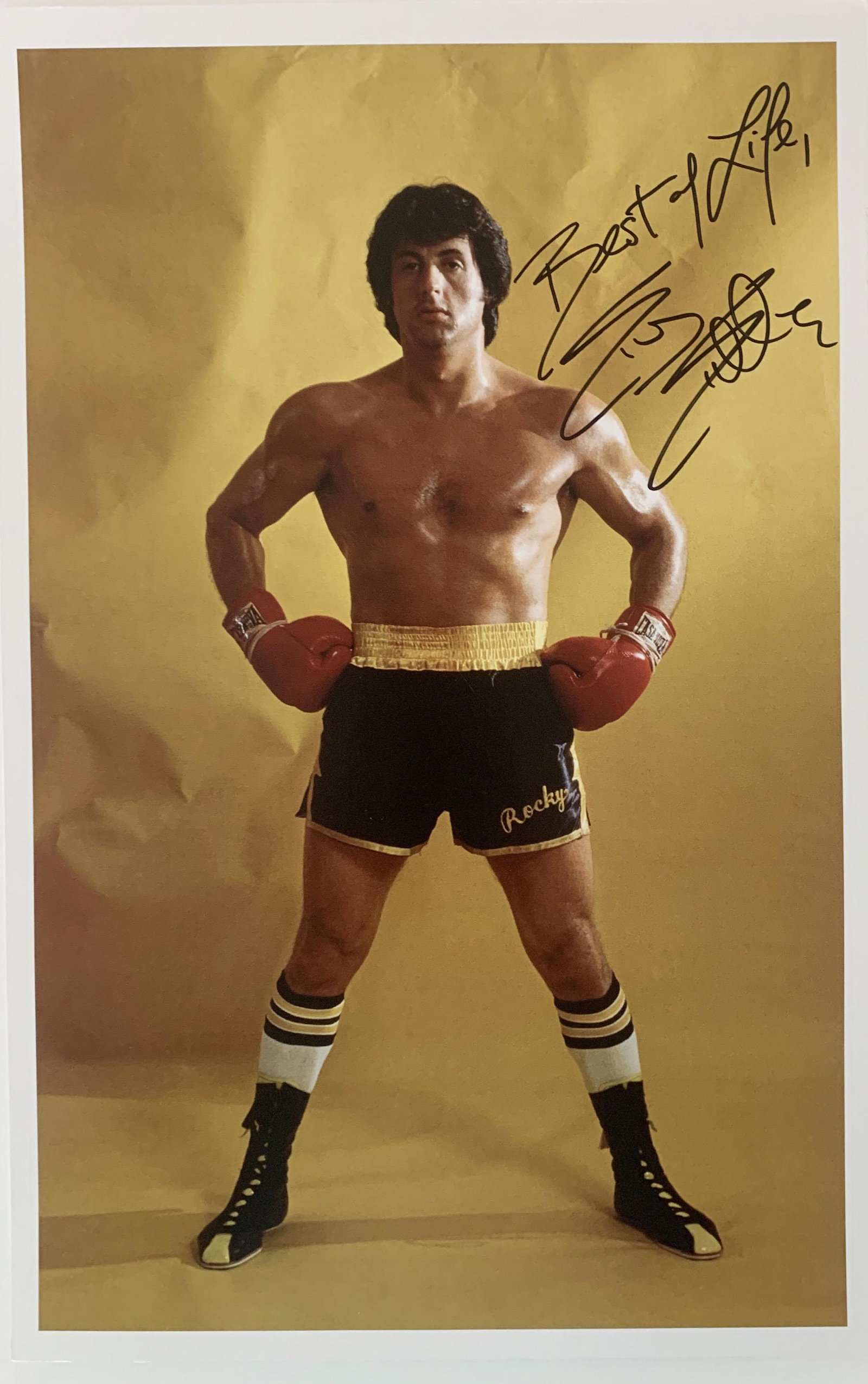 Sylvester Stallone signed photo: Sylvester Stallone signed photo. 11x17 inches