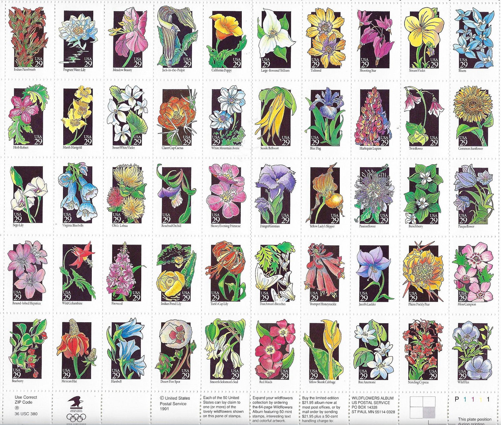 Wildflowers Stamps (1 of 1)