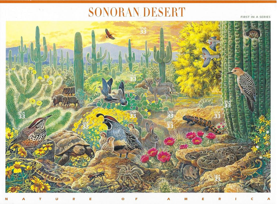 Sonoran Desert Stamp Set (1 of 1)
