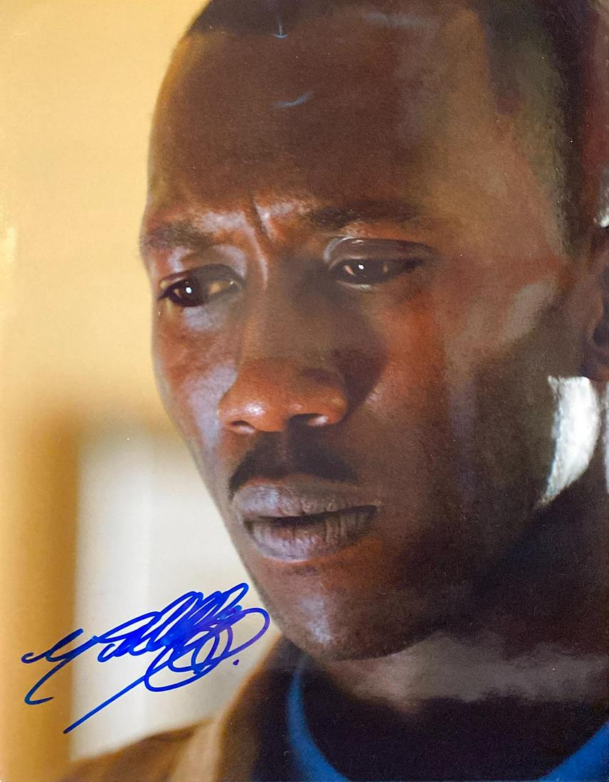 Mahershala Ali signed photo: Mahershala Ali signed photo. 8x10 inches