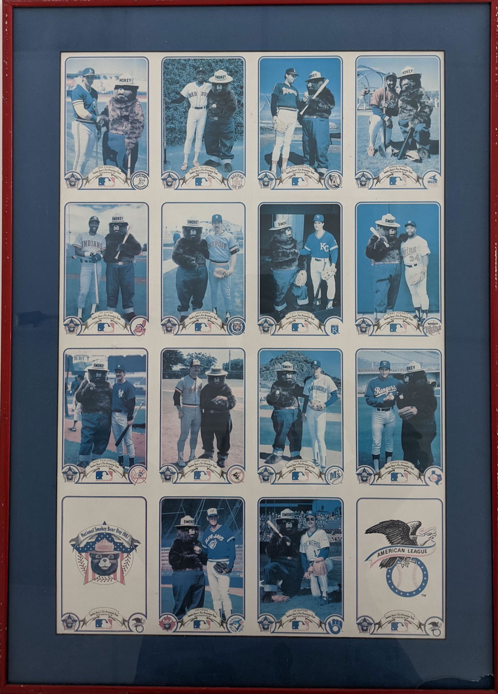 Smokey Bear Baseball Photo Collage: Smokey Bear Baseball Photo Collage - 20x28 inches