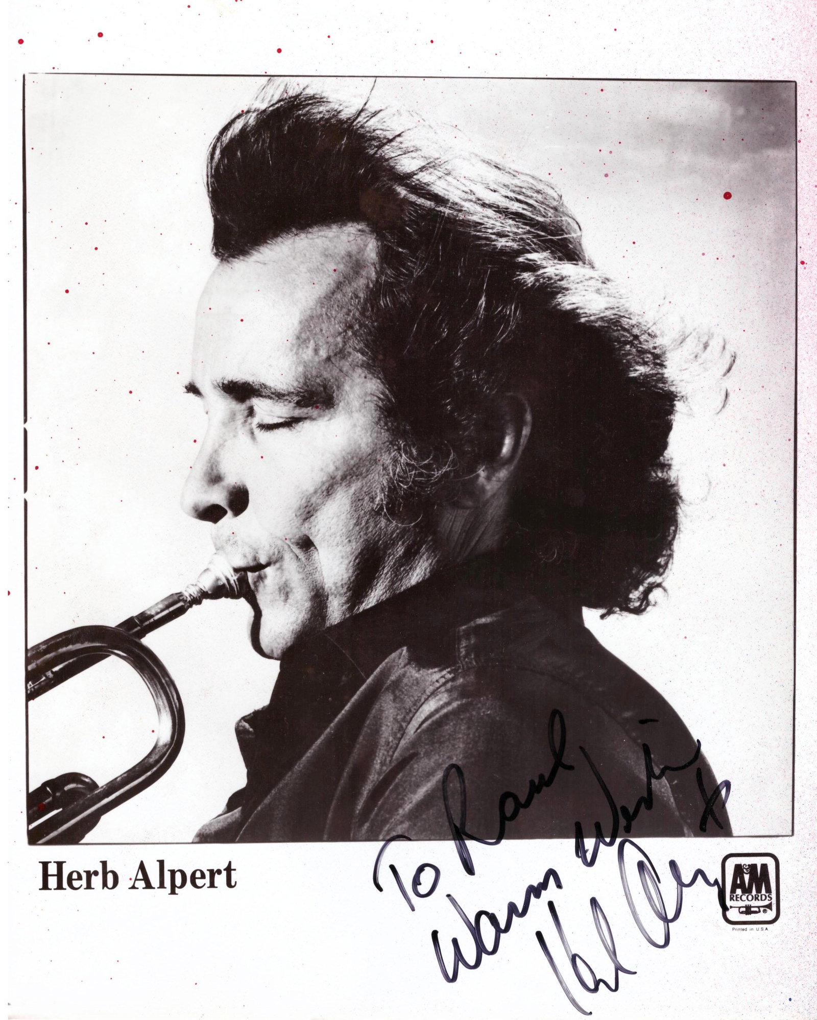 Herb Alpert signed photo: Herb Alpert signed photo. 8x10 inches