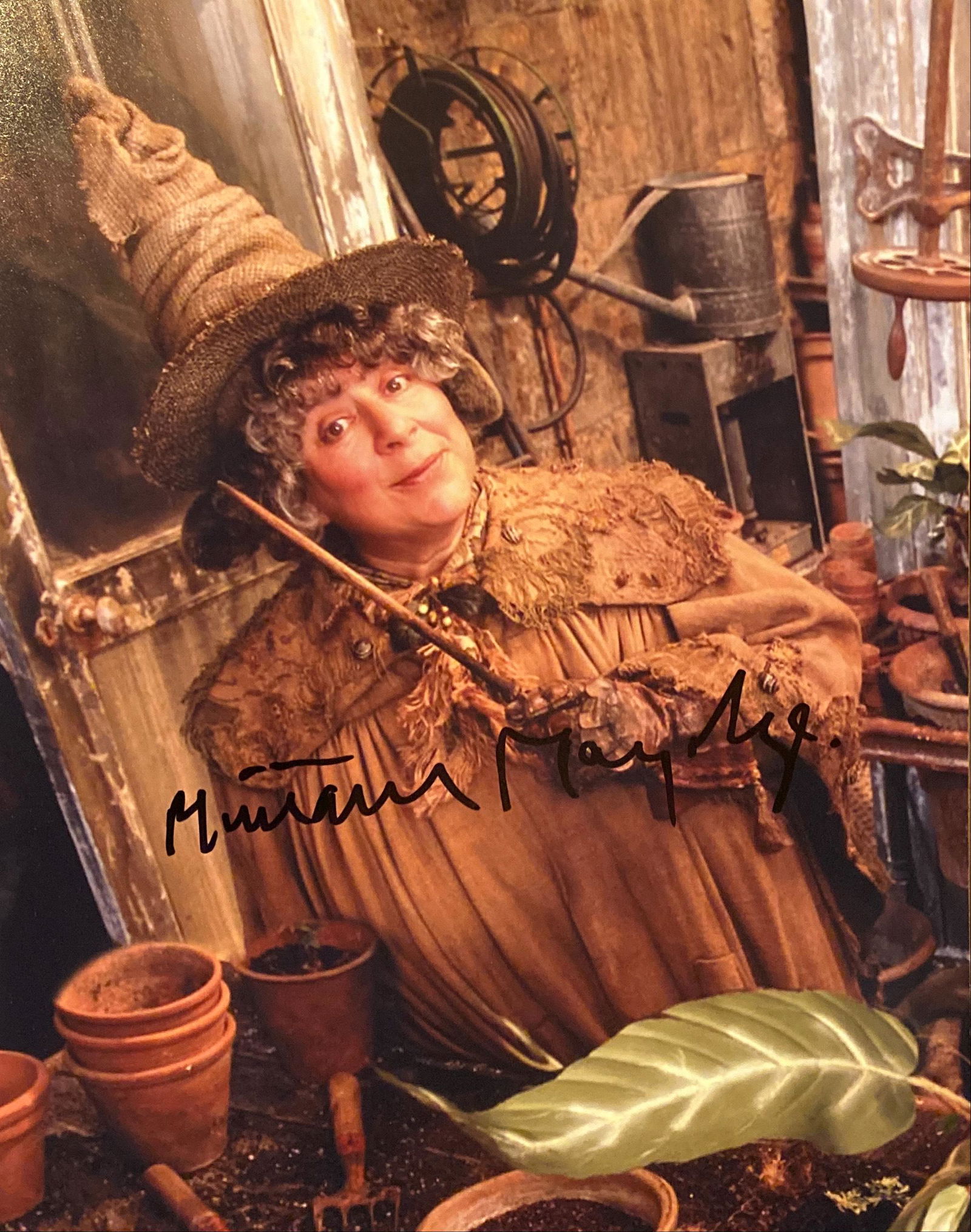 Harry Potter Miriam Margolyes signed movie photo: Harry Potter signed movie photo autographed by Miriam Margolyes . 8X10 Inches