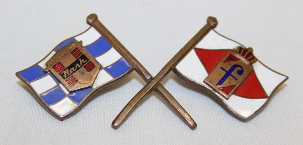 1952-1954 Nash Healey Pinin Farina Radiator Emblem Badge: cloisonne 3" x 1.5"