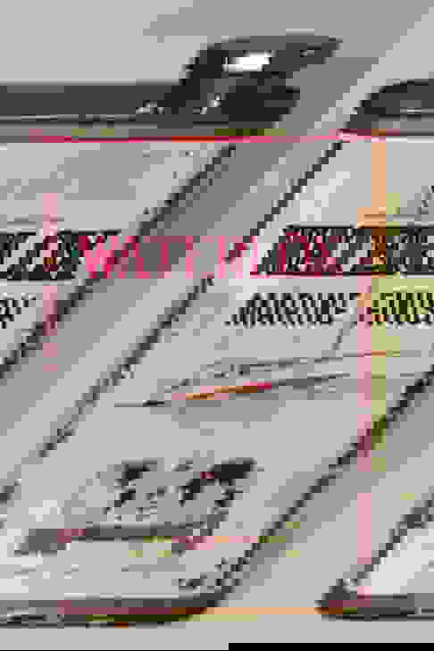 Graphic Waterlox Marine Finish Tongue Oil Metal Can Auction