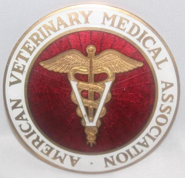 Medical Doctor American Veterinary Association Automobile Radiator Emblem Badge: cloisonne, 3.5" diameter