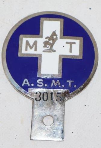 ASMT American Society of Medical Technicians Cloisonne License Plate Topper: 2.75" x 3.75"