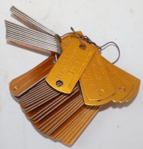 Group of 50 Grand Travers Michigan Unused Dog Tags: 1.50 x .75 each