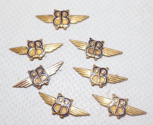 Group of 7 Birds Of Aviation Member Pin Back Badges: .75" x 1.50" each no pin backs