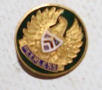 Peerless Motor Car Co Cloisonne Pin Back Badge: .50" diameter