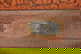 item-207219231=15
