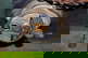 item-207219304=10