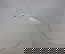 item-207219383=8