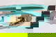item-209103478=2