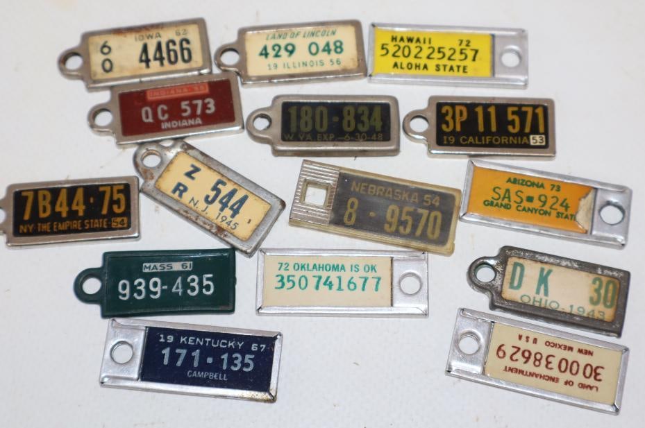Group of 15 License Plate Keychain Tags: largest 1.5" x .5"