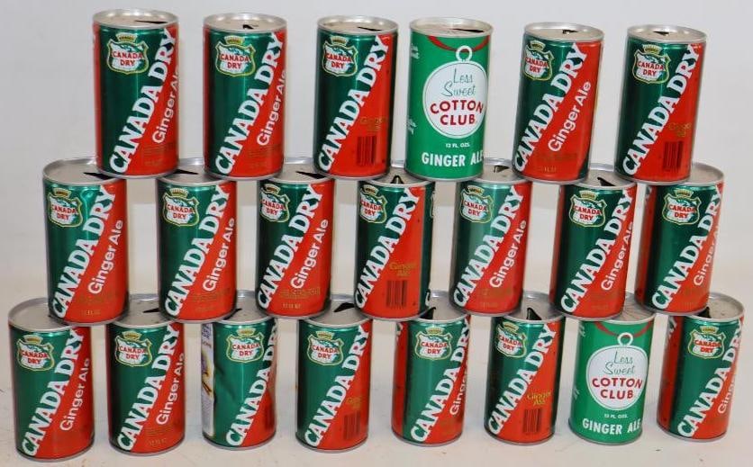 Group of 21 Canada Dry Ginger Ale NFL Teams Soda Cans: 12 oz Each