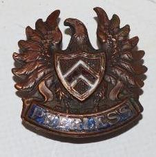 1920s Peerless Motor Car CO. Cloisonne Radiator Emblem: 1.5x1.5