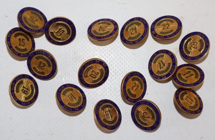 Group of 17 Pure Safe Driver Hat Pins: .75" x .75" each