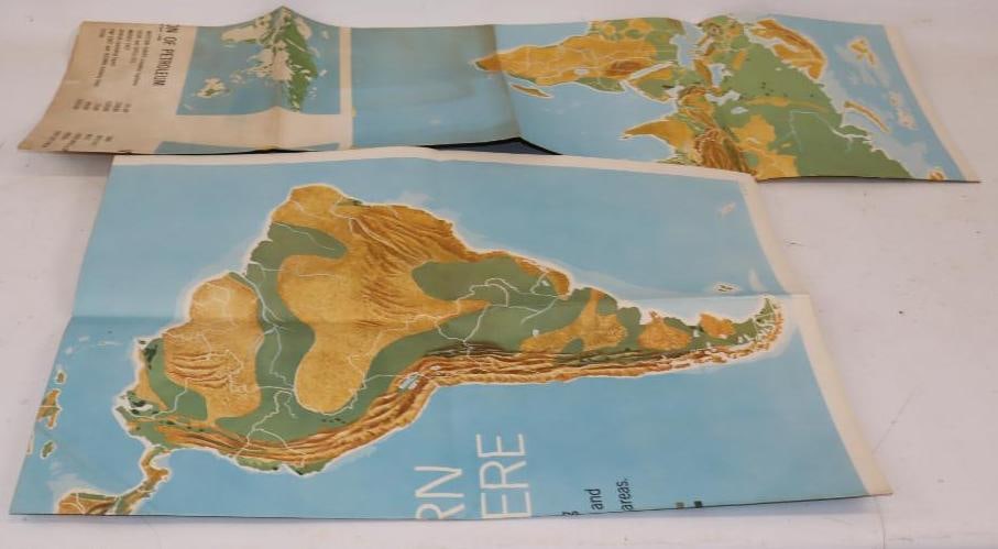 Group of 2 - 1958 Petroleum Consumption & Western Hemisphere Maps: 33" x 44" each