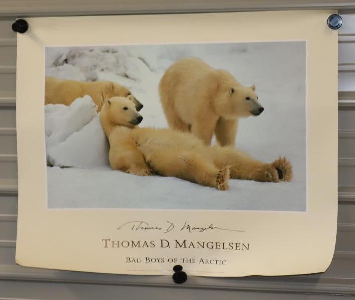 Thomas D. Mangelsen "Bad Boys of the Artic" Polar Bear Poster: 32" x 25"