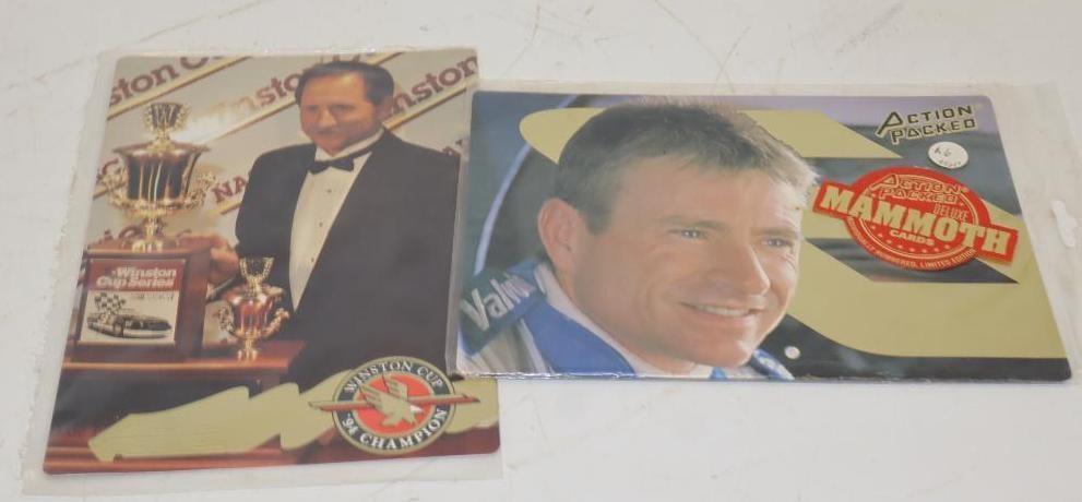 Group Of 2 1995 Dale Earnhardt And Mark Martin Action Packed Oversized Trading Cards: 7.5" x 10.5" Each