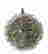 item-91605024=2