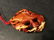 Large old Chinese Amber Carvings with Fish , lotus an