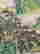 item-115070006=5