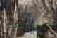 item-117547856=3