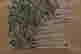 item-119173673=4