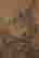 item-120733569=3