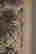item-120733732=2