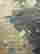 item-124440052=5