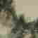 item-133909369=3