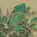 item-133909562=2