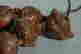 item-133909935=6