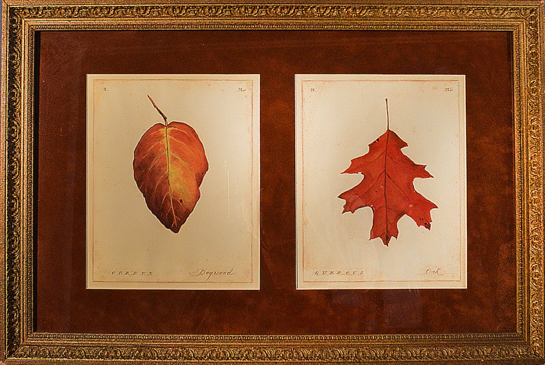Fall Leaves: Original Artwork, Fall Leaves Presented with High Quality Frame Sign by ArtistSize: 29" x 19"