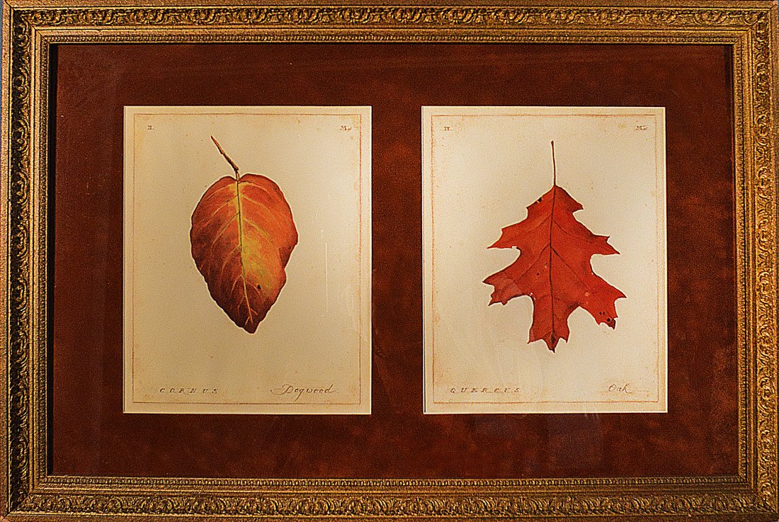 Fall Leaves: Original Artwork, Fall Leaves Presented with High Quality Frame Sign by ArtistSize: 29" x 19"