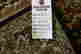 item-130335237=5