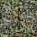 item-130335267=2