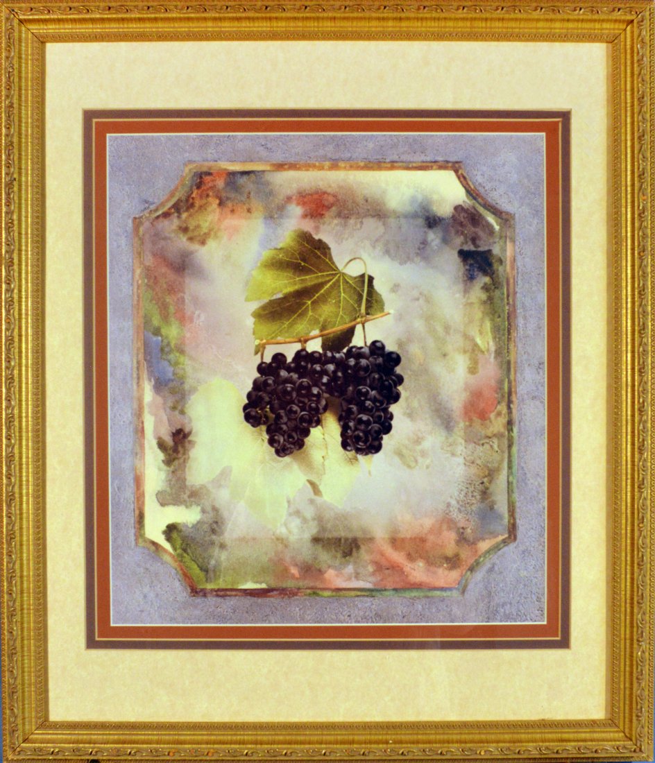 Print, Black Grape with watercolor Background: Enjoy this illustrated painting of grapes on a vine. The artist uses a beautiful watercolor pattern to compliment the fruit. Perfect for any kitchen setting. Gold frame. Ready to be hung.SIZE: 27" X22