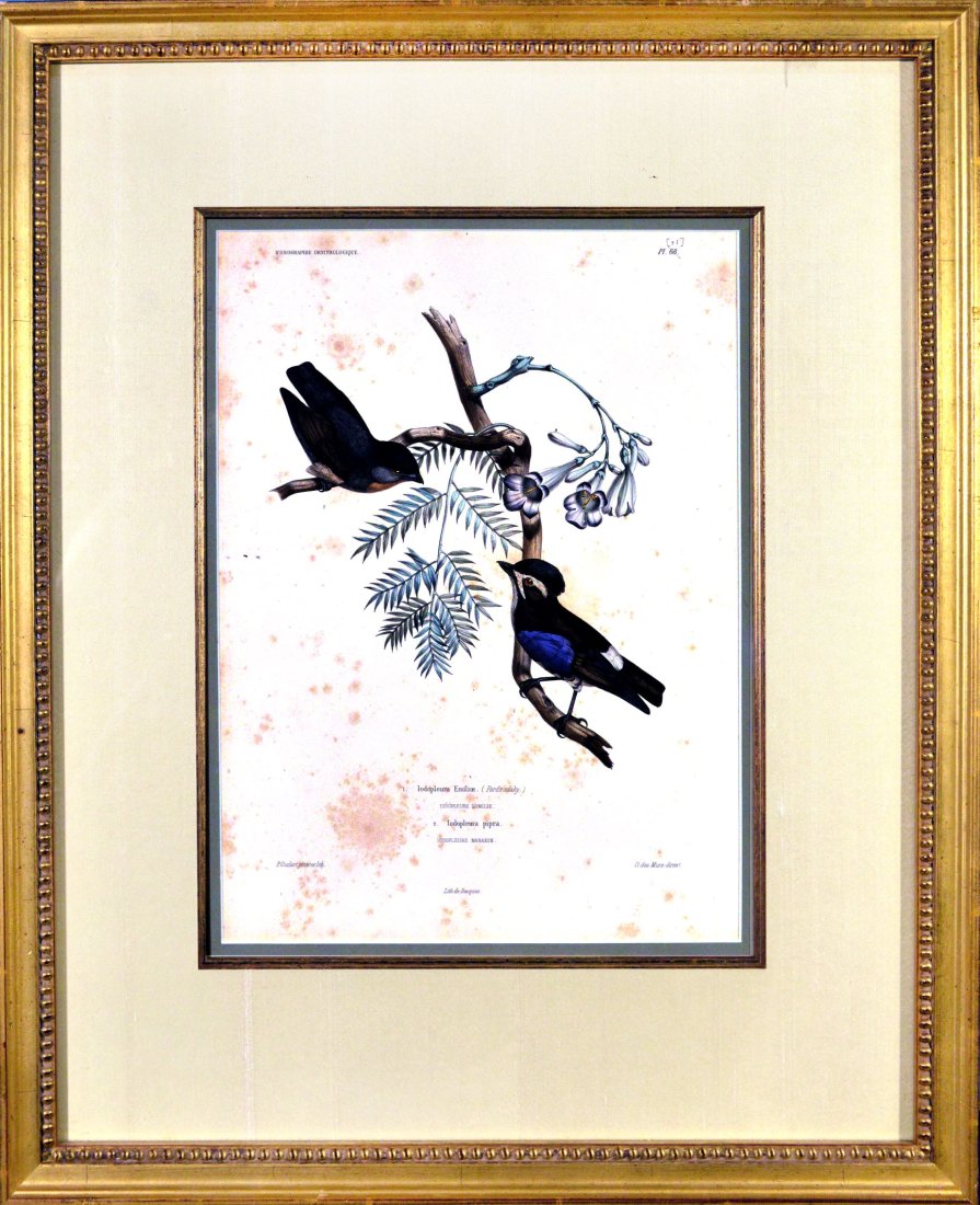 Print Two birds on branch (1 of 1)