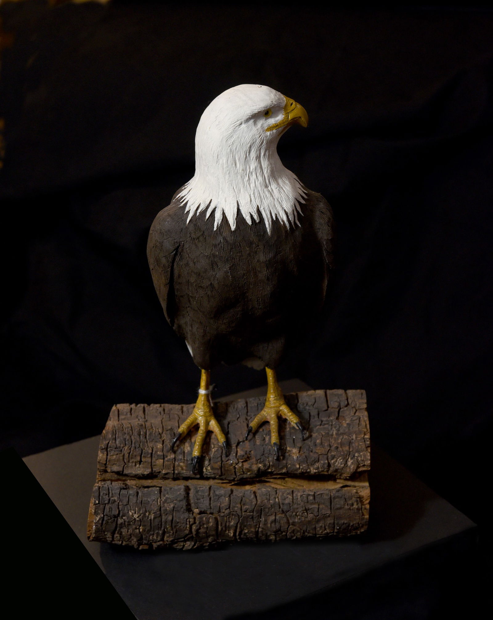 Majestic Bald Eagle Wood Carving (1 of 4)